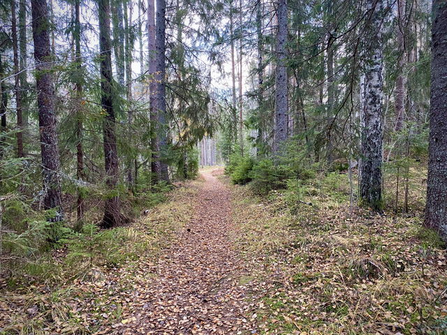 Gröna 10-kilometersspåret