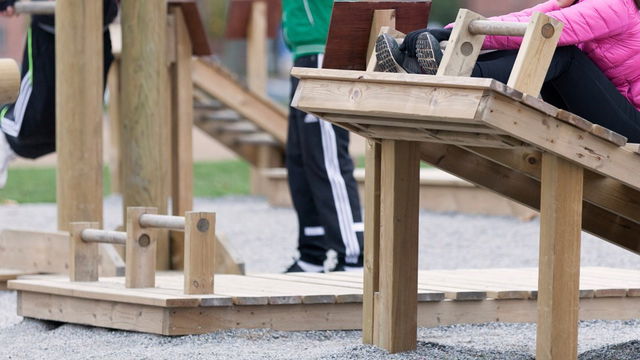 Lilla Blecktornsparkens utegym