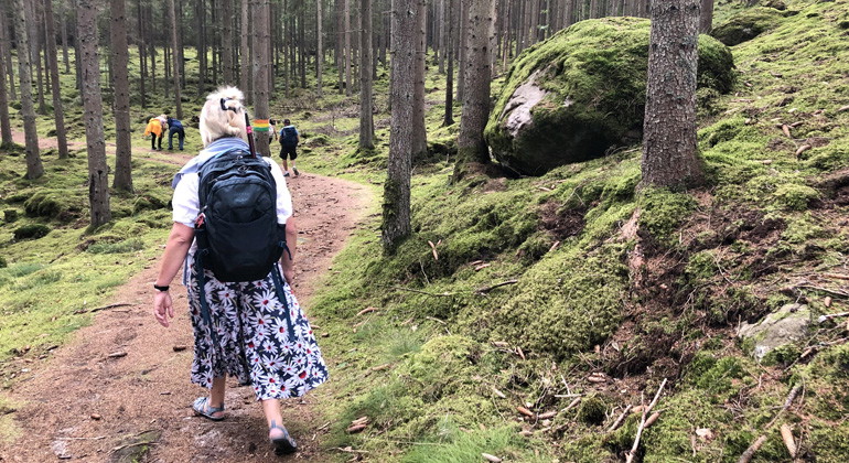 Vandringsleder i Kullaskogen.