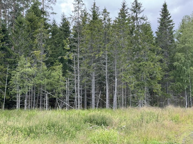 Slängbäcken