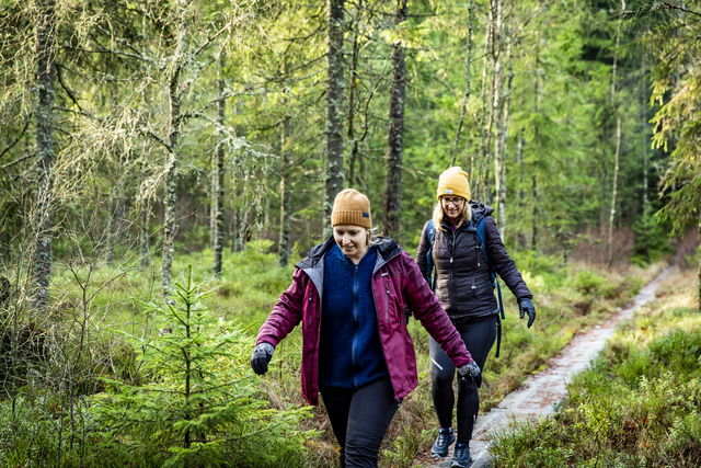 Vandringsslinga Vit 3,3 km, Eseredssjön