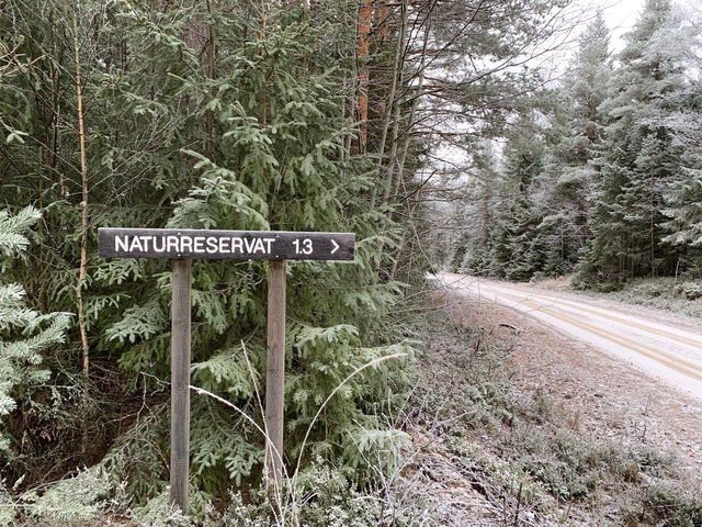 Gravbergsdalen naturreservat