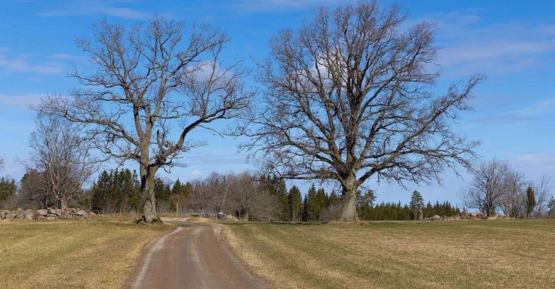 Österbymo - Västern Lägern, Östgötaleden