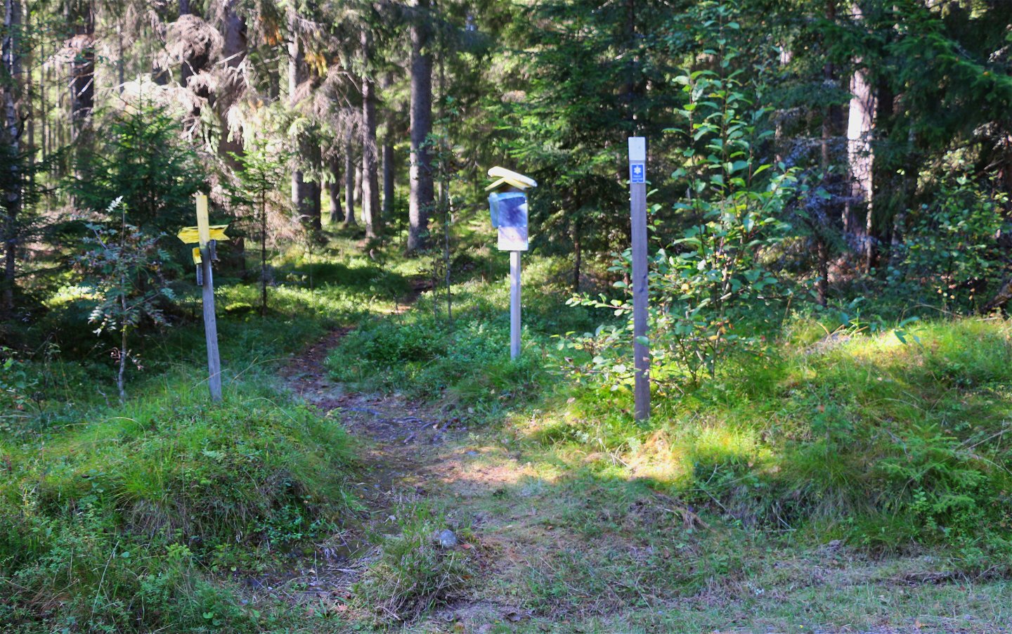 Skyltar och markeringar som visar vägen in i naturreservatet.