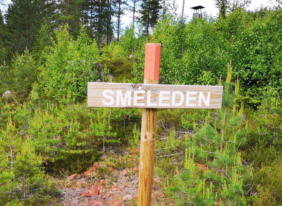 Skylt och ledmarkering