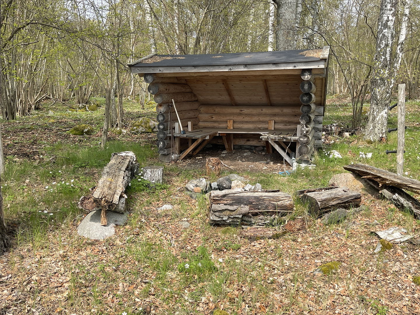 Vindskydd. Framför ligger multnande stockar.