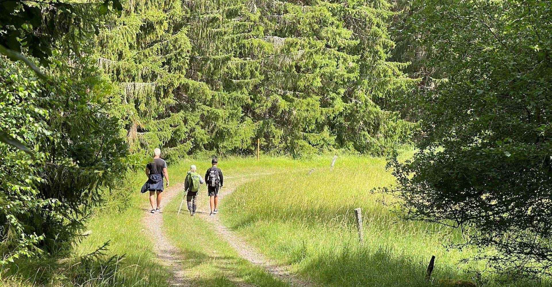 Vandrare 
Etapp: Sätravallen-Vårdnäs
Linköping