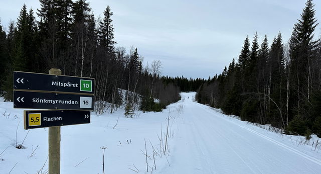 Flacken 5,5 km skidspår (längdspår, Edsåsdalen)