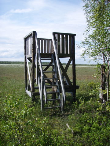 Västra utsiktstornet, Tervajänkkä