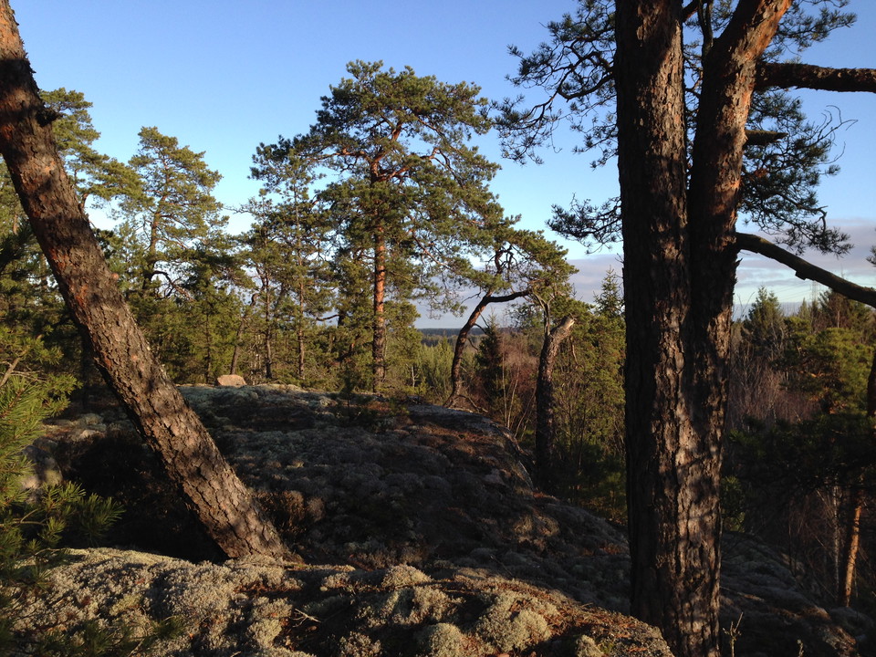 Norra Törnskogens naturreservat – friluftsliv i olika former