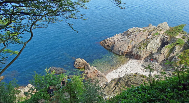 Josefinelust.