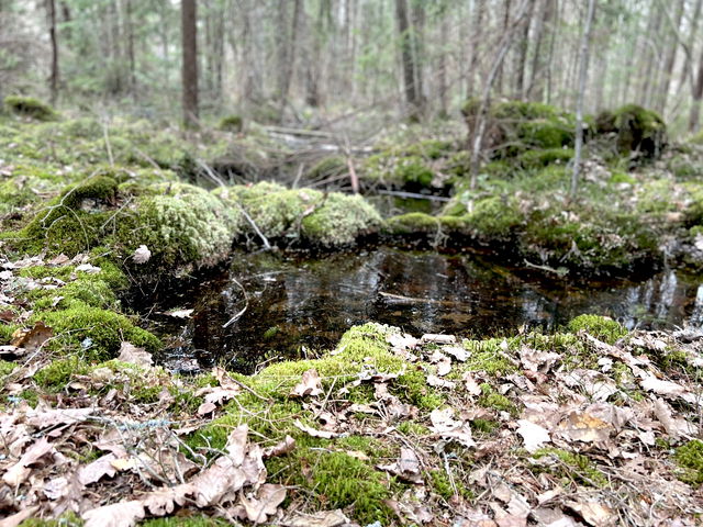 Parkering till Bjällingsmålaleden och Bjällingsmåla naturreservat