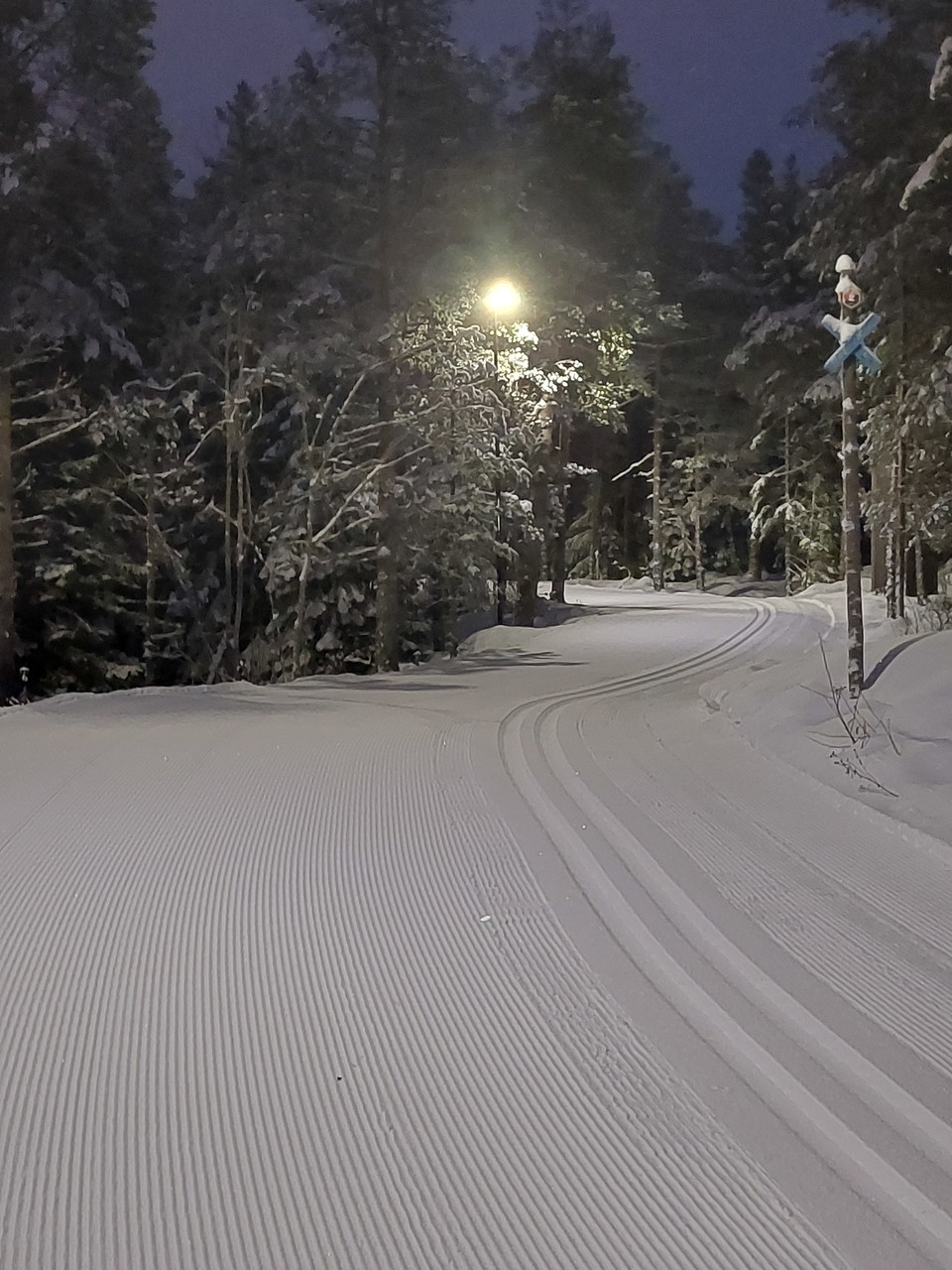 SKidspår