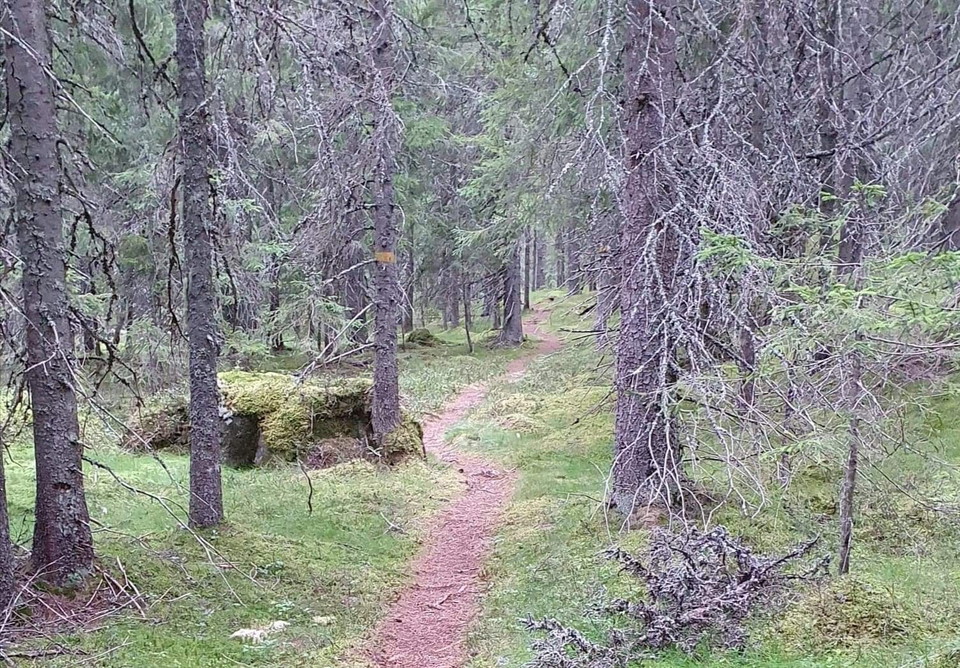 Vandringsled genom Naturreservatet