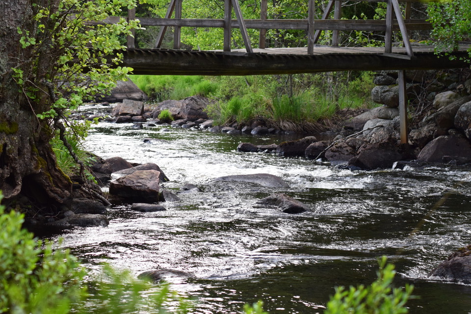 Strömfiske i Alsterån 