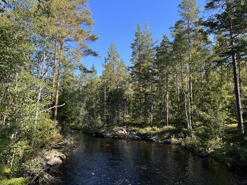 Djurlångsån