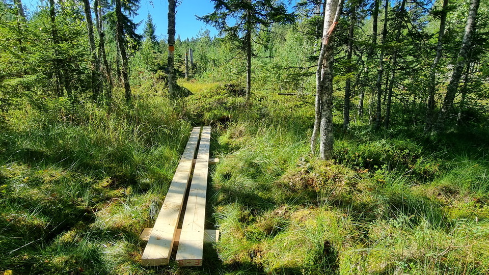 En av tre spångar över myren söder om dammen vid Övre Bruket.