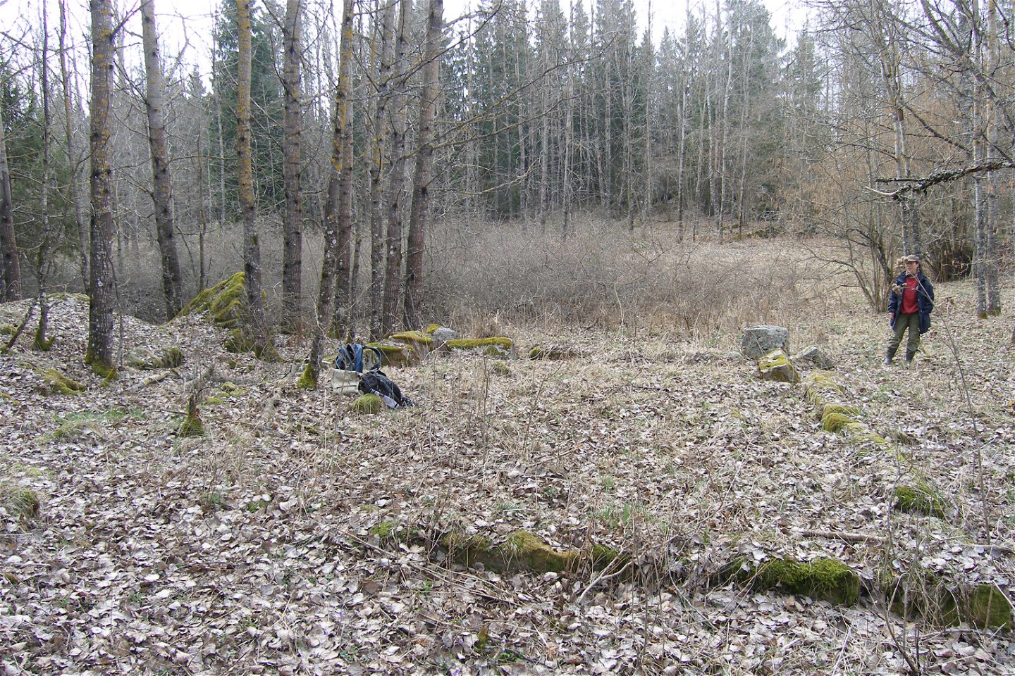 En person står vid ett torpgrund i skogen. Grunden är markerad med stenar på marken.