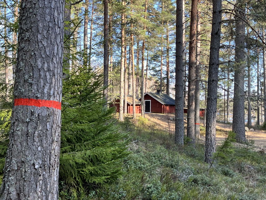 Lumsenkojan 