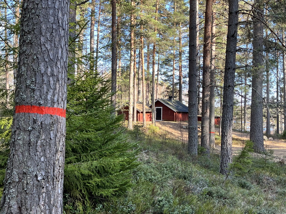 Lumsenkojan 
