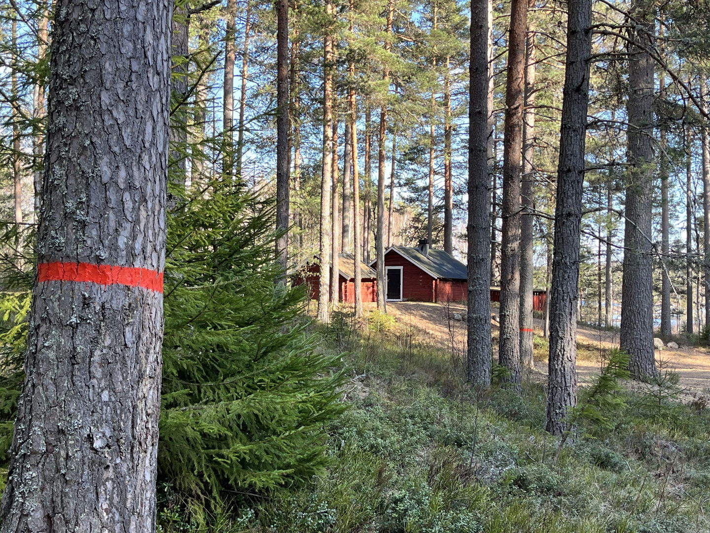 Lumsenkojan 