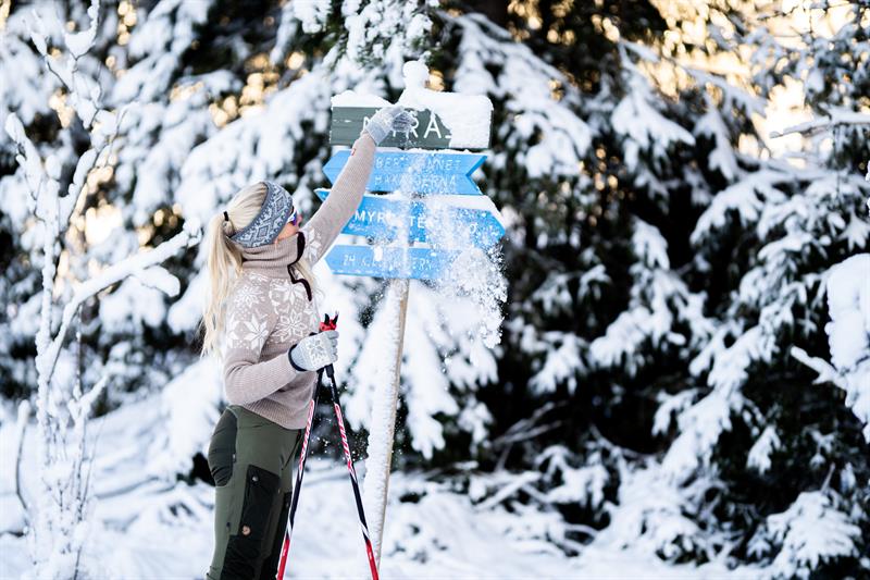 Langrennski i Indre Østfold