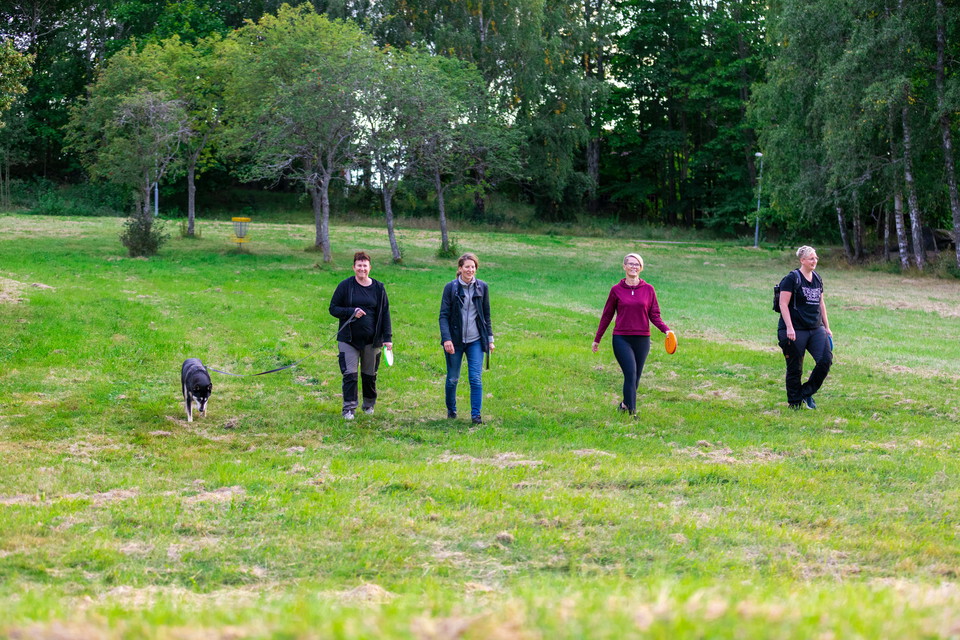Ett glatt gäng spelar discgolf