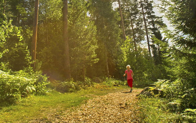 Sturefors elljusspår (1,2 km)