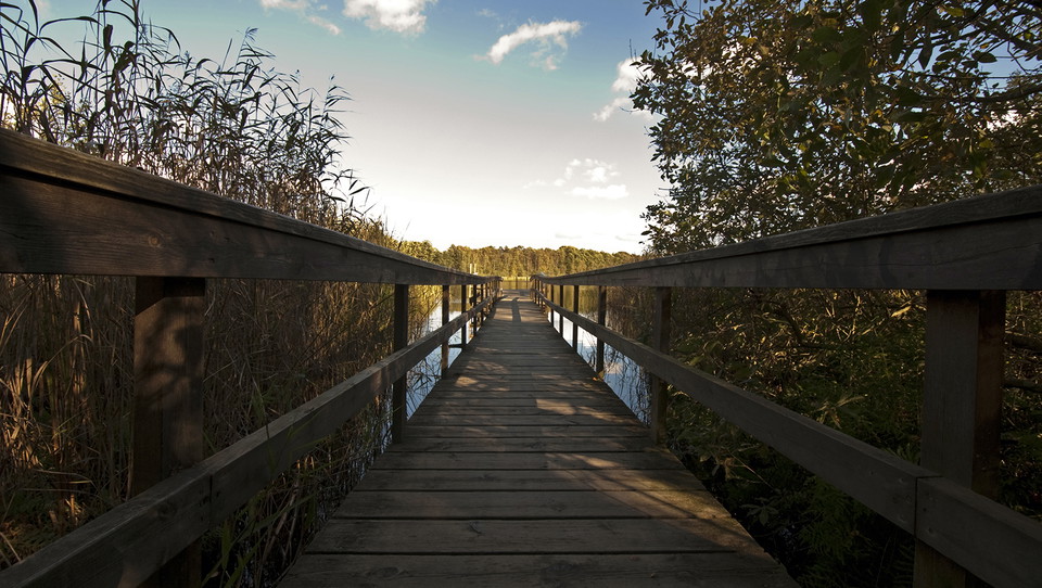 Spången ut mot västra bryggan. Foto Johan Pontén