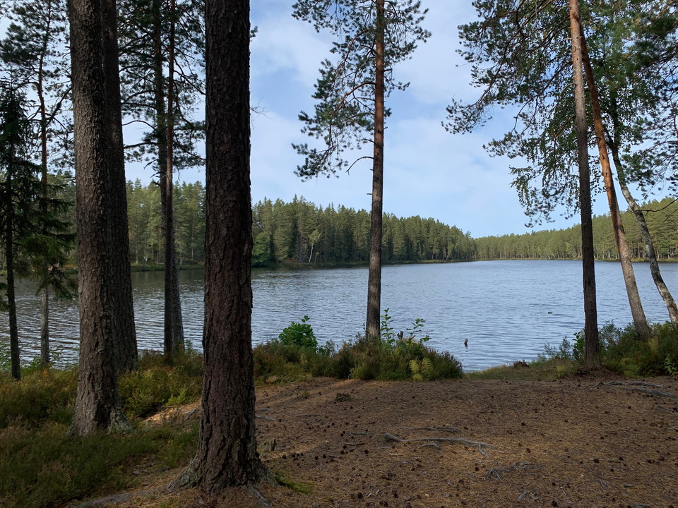 Vy måt Långtjärnarna