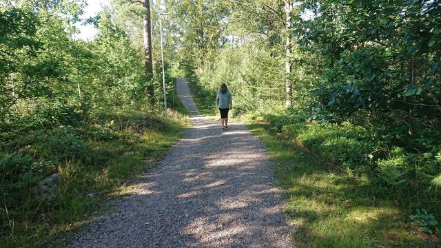 Haganäs elljusspår