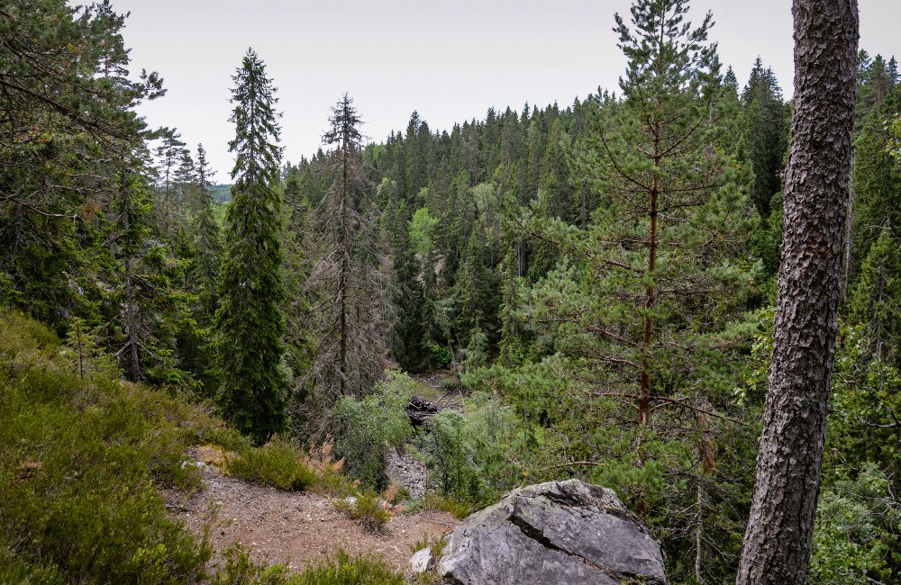 Höglandsleden etapp HÖ18 Vikskvarn -Tomtabacken - En del av Smålandsleden