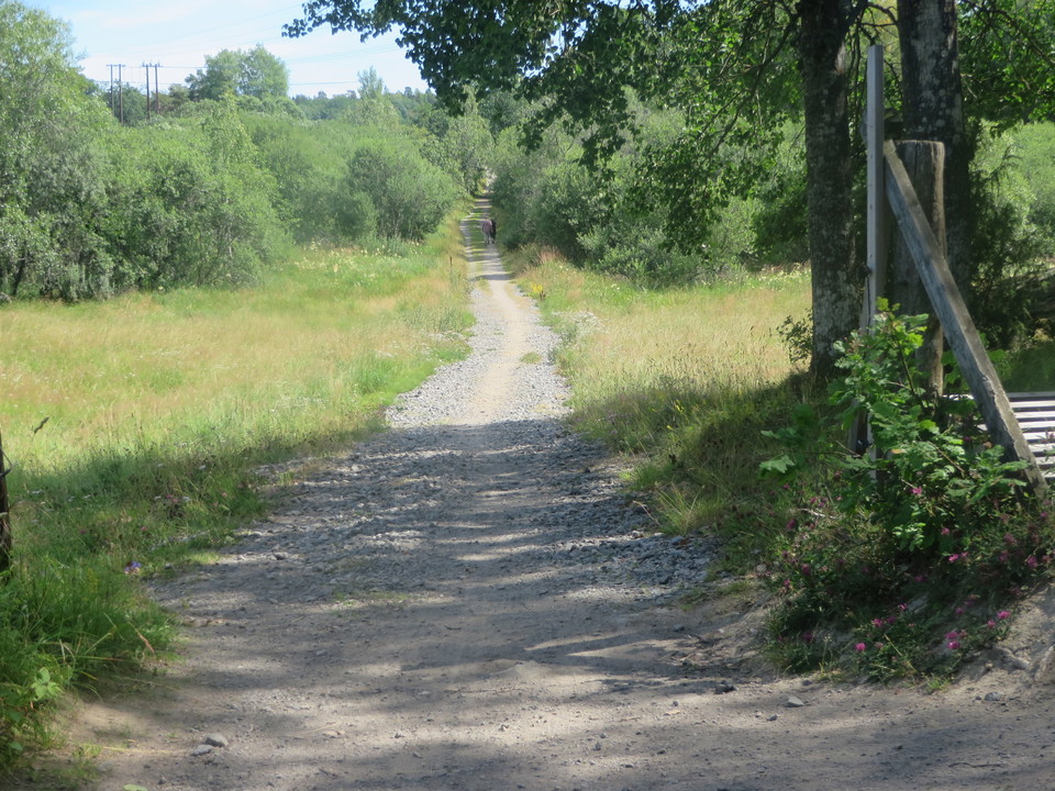 Backen vid kärret, söder om Ågestasjön