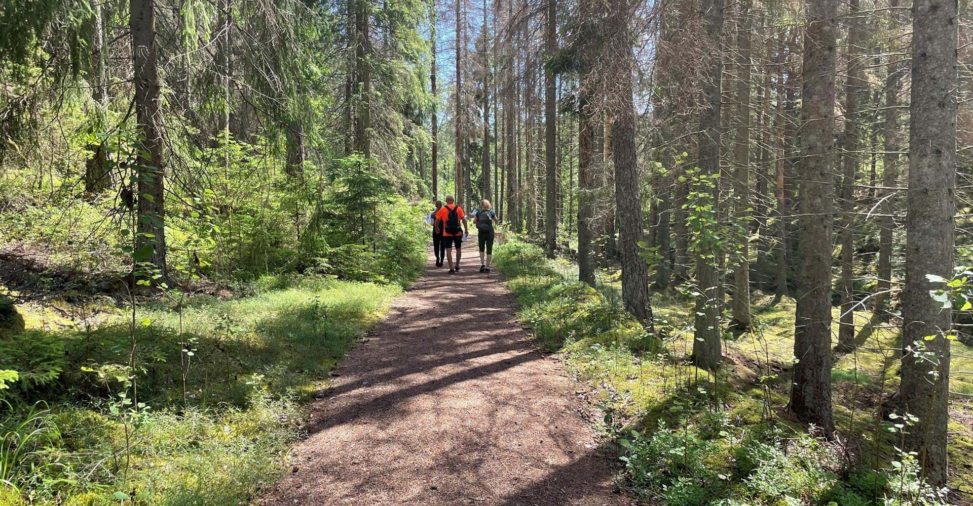 Karlsdal, tillgänglighetsanpassad ledsträcka