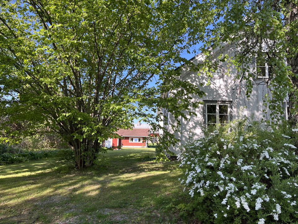 Försommar i Wanbo
