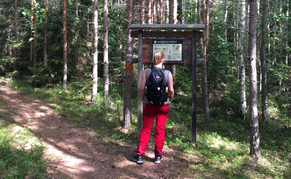 En person med ryggsäck läser på en informationstavla.