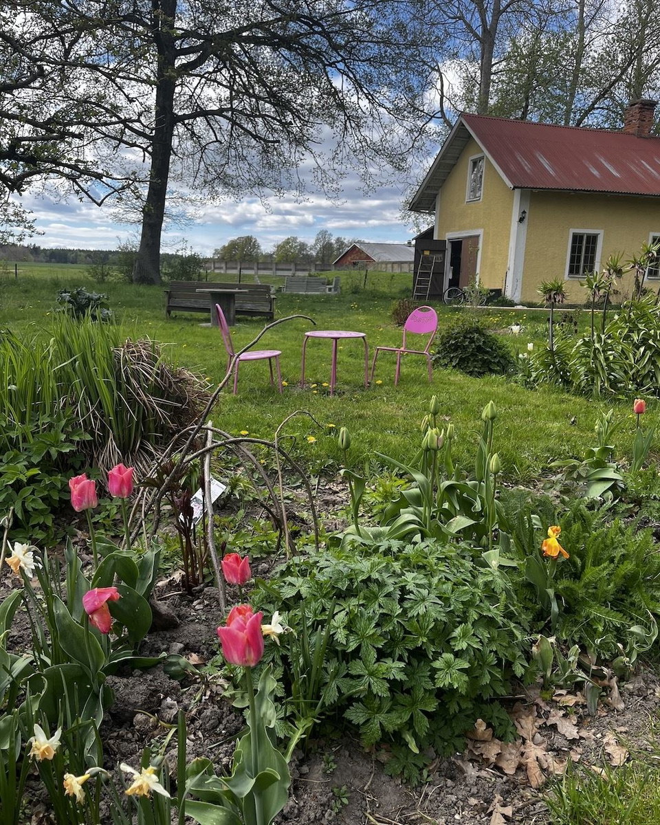 Fika i trädgård