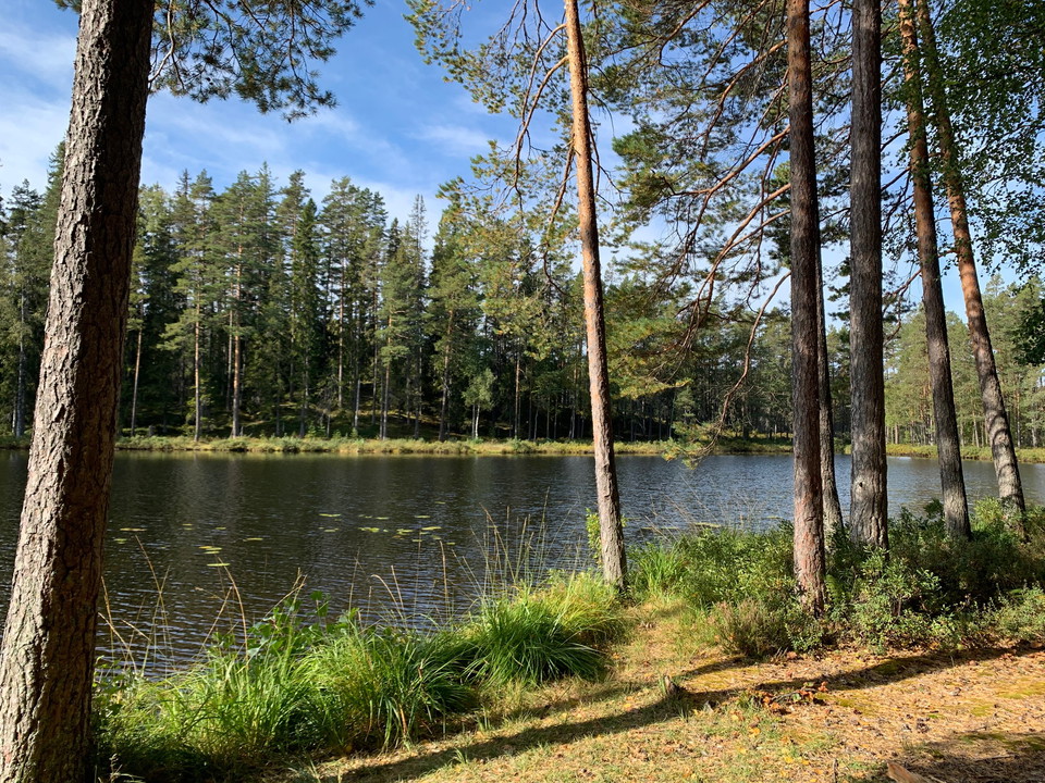 Vy Övre Långtjärnen