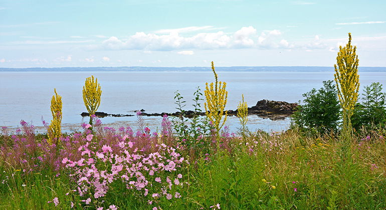 Kungsljus på Strandhagen.