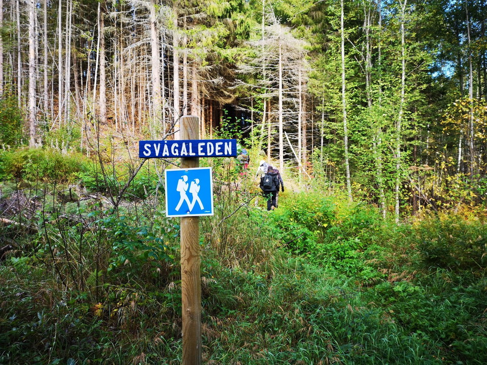 Leden följer Svågaleden söder om Svågan.