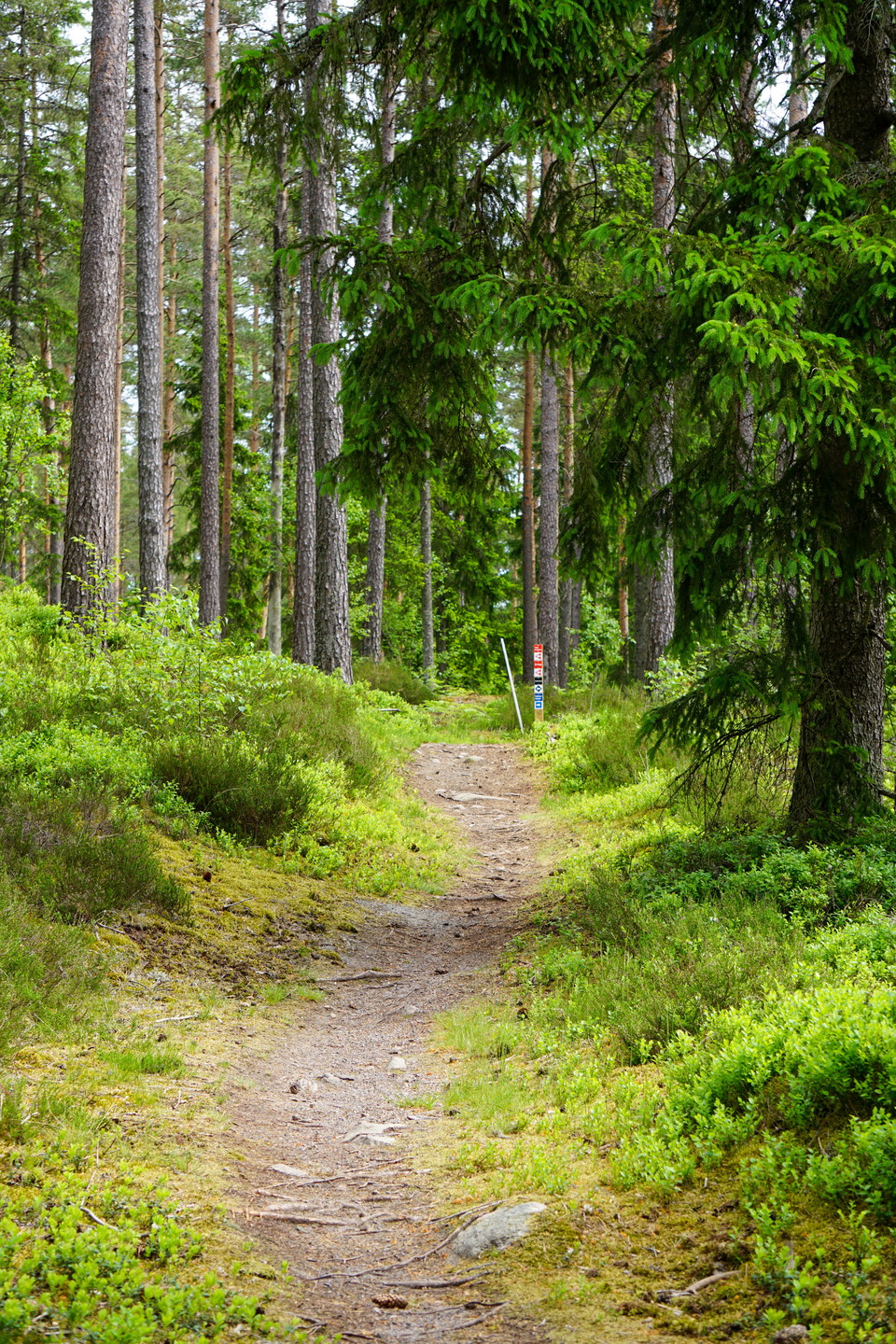 Foto: Johan Svedberg