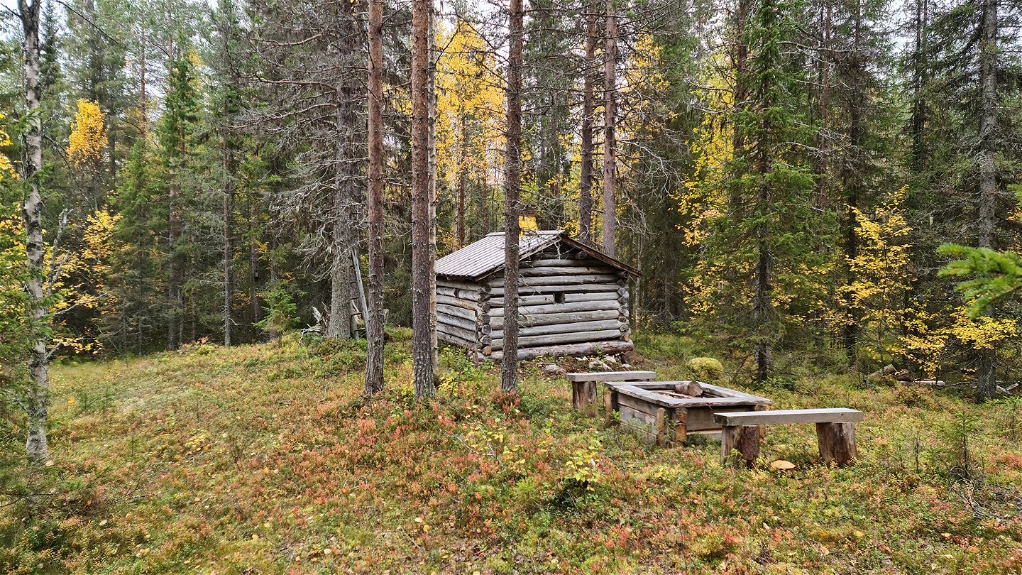 En timrad stuga i en skog med en enkel eldstad i trä utanför.