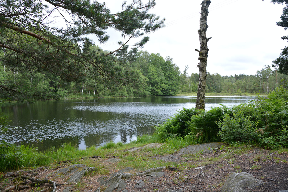 Blåvättnerna – Stensjön, Hallandsleden
