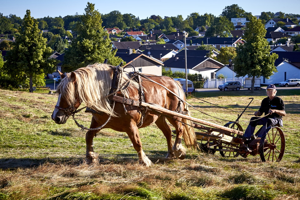 Miljövänlig slåtter