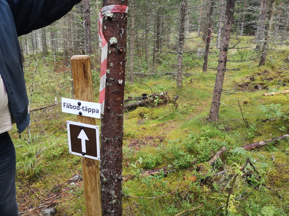 Ledmarkering fädbodtäppa