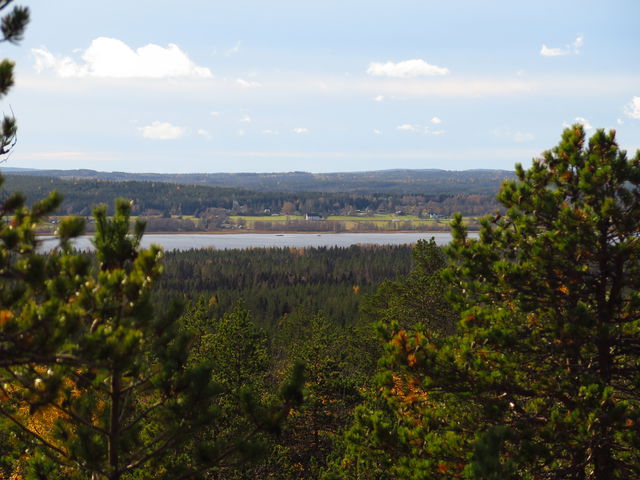 Rådmanvikberget