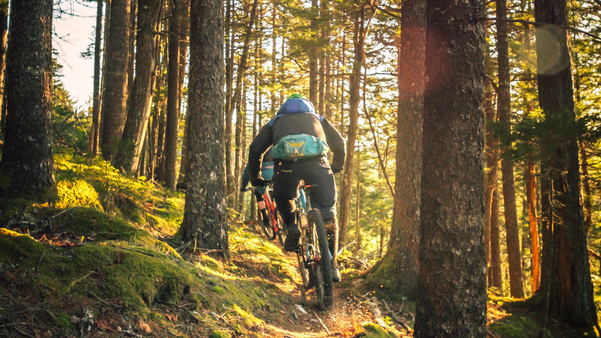 Biking Gästrikland