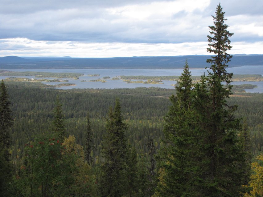 Utsikt från ett berg med barrskog över vatten och skogar.