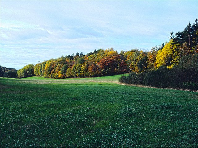 Hammarbergets naturreservat