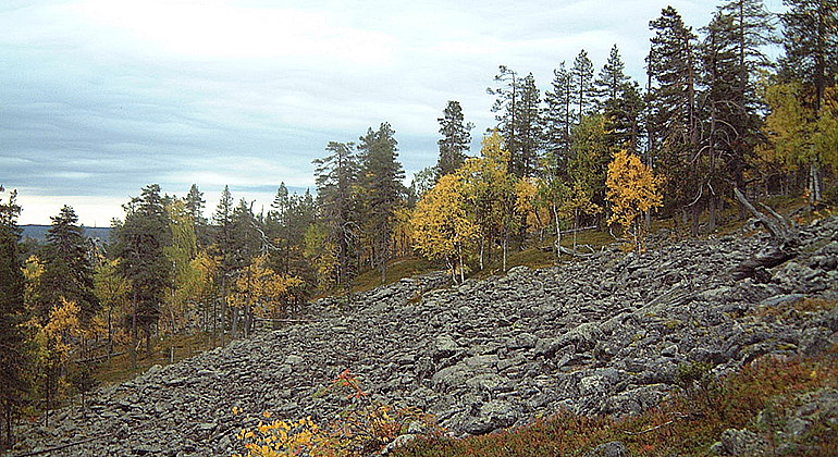 Paljaslaki.